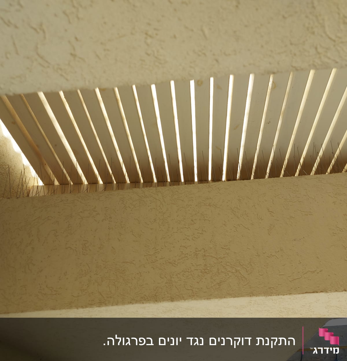 מחסום יונים עם דוקרנים על קיר